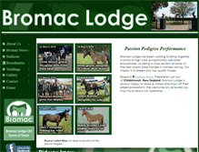 Tablet Screenshot of bromaclodge.com